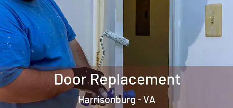 Door Replacement Harrisonburg - VA