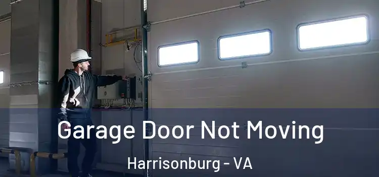  Garage Door Not Moving Harrisonburg - VA
