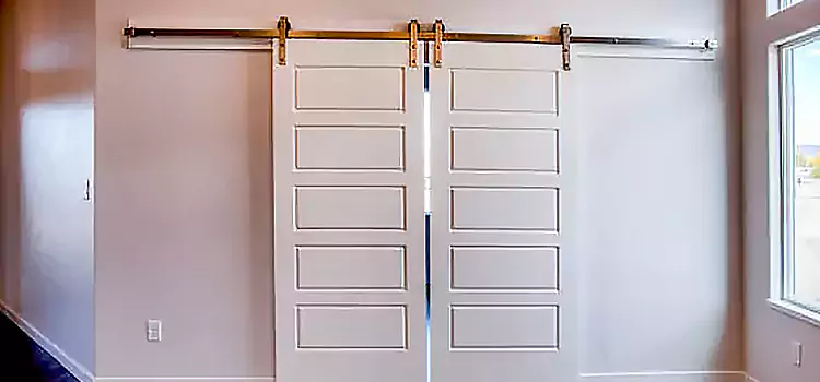 Glass Barn Door with Installation Hardware Kit Harrisonburg