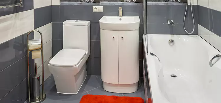 Hansgrohe Shaving Mirror Harrisonburg