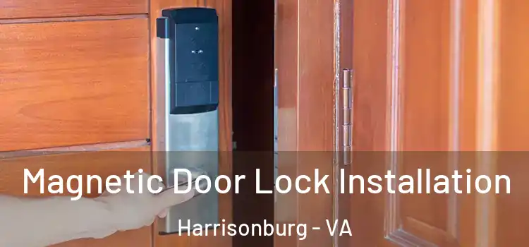  Magnetic Door Lock Installation Harrisonburg - VA