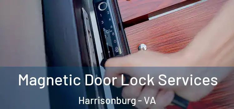 Magnetic Door Lock Services Harrisonburg - VA