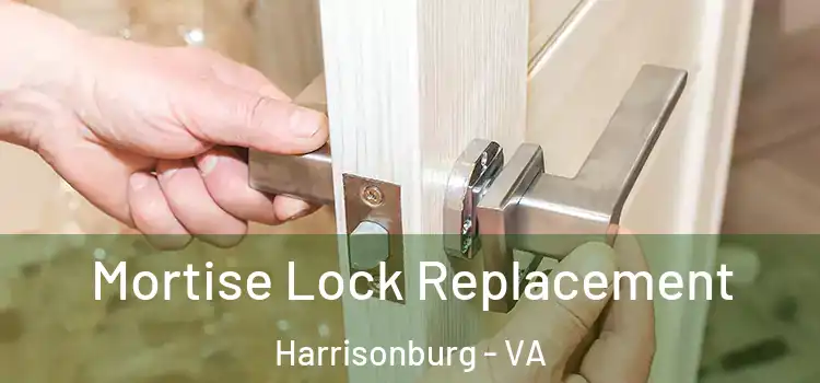 Mortise Lock Replacement Harrisonburg - VA