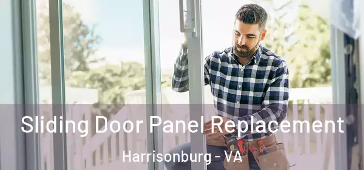  Sliding Door Panel Replacement Harrisonburg - VA